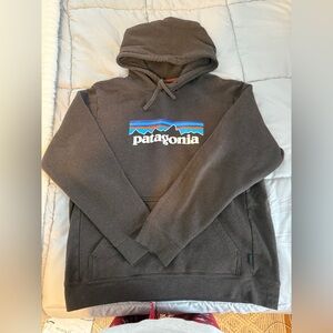 Patagonia Hoodie